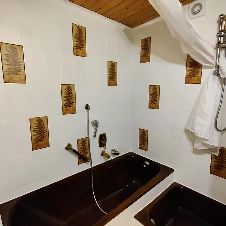 Ferienwohnung Berghang Apartmán *